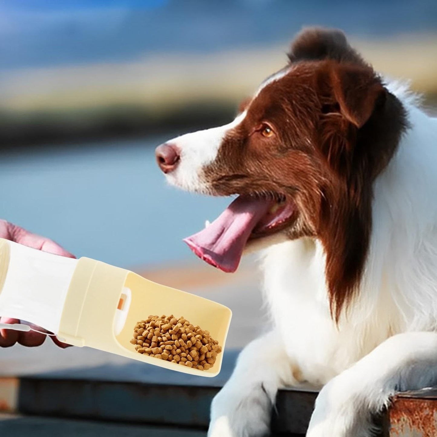 Portable Pet Feeder and Drinker